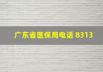 广东省医保局电话 8313